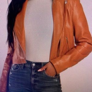 Cropped moto jacket